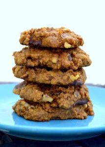 Pumpkin Oatmeal Chocolate Chip Cookies © G. Stansbury