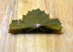 How to make Stuffed Grape Leaves © G. Stansbury